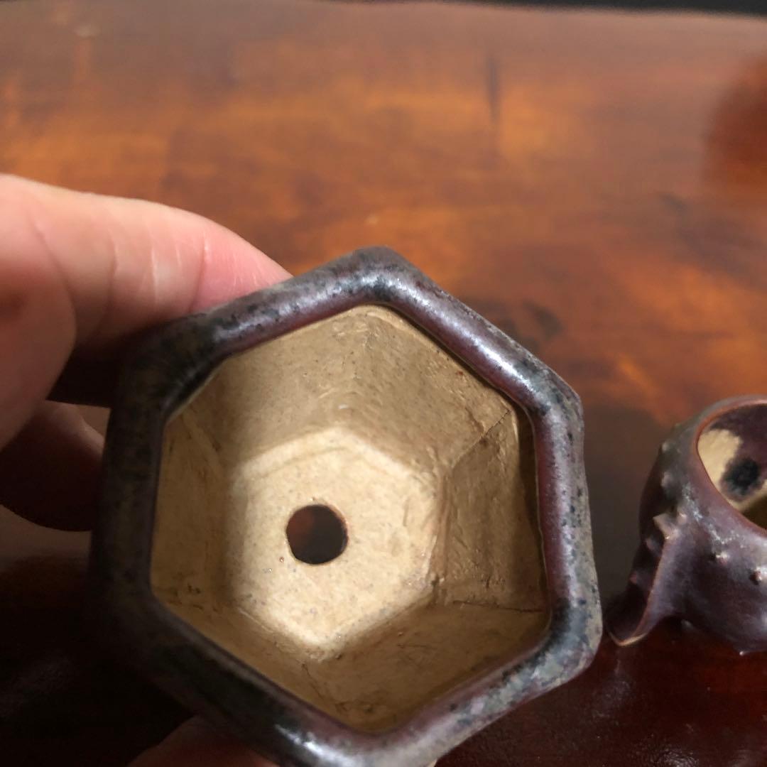 小品盆栽　サボテン　植物鉢 8点組　絵柄6点　小餅庵2点