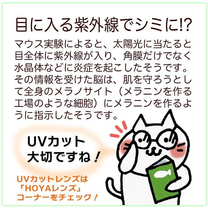 POLICE ボストン型メガネ グレー ケース付き