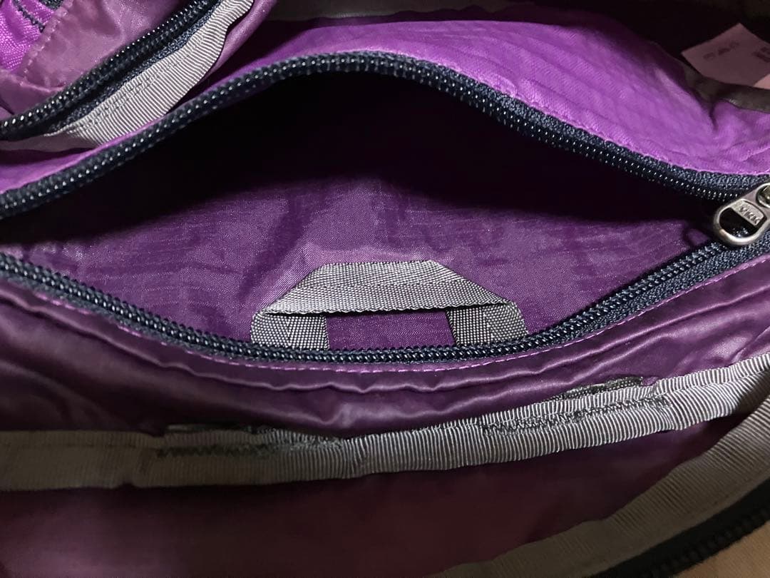 極美品 patagonia LWT ライトウェイトトラベルヒップパック 5LWI