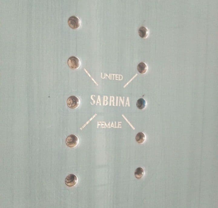 SABRINA サブリナ スノーボード スノボ 板 140