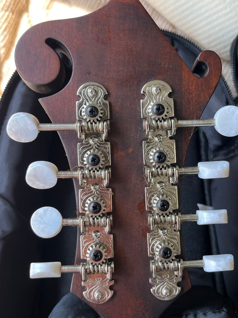 た*ん様 Eastman MD314 イーストマン フラットマンドリン