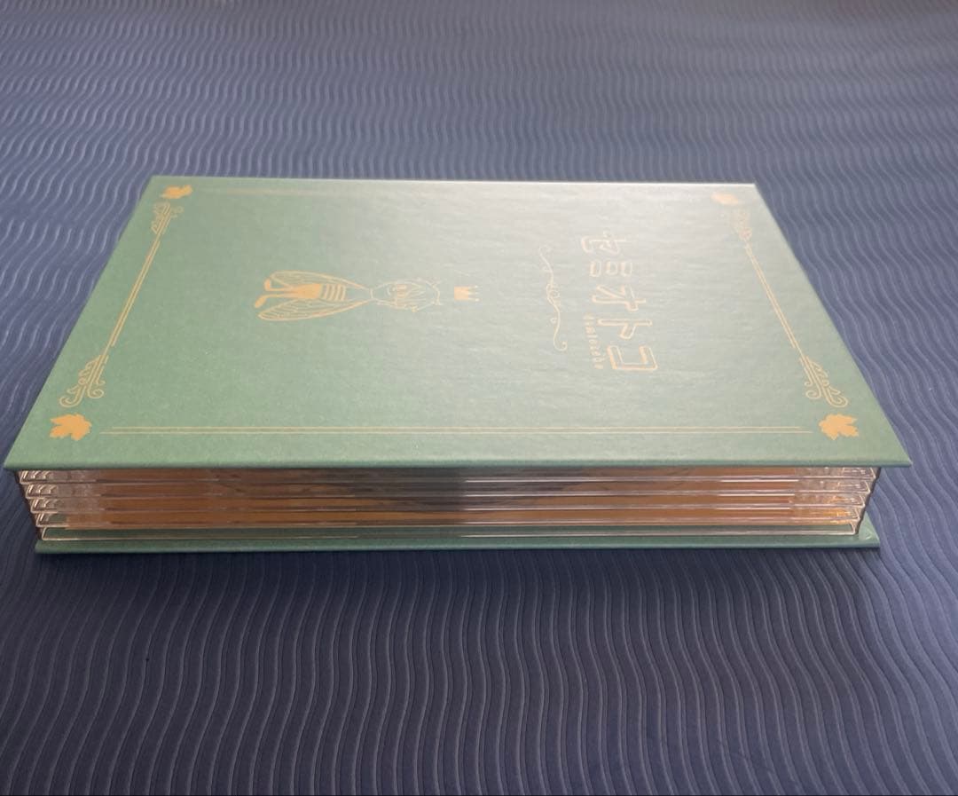 セミオトコ DVD-BOX〈5枚組〉