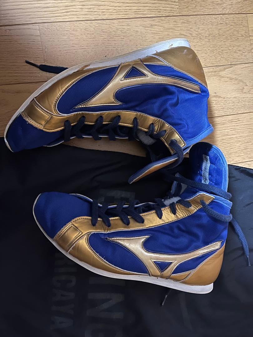 ボクシングシューズ　26cm ミズノ　　メンズ