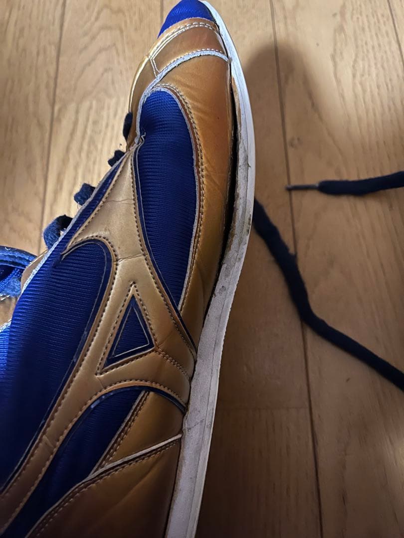 ボクシングシューズ　26cm ミズノ　　メンズ