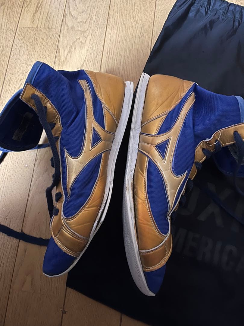 ボクシングシューズ　26cm ミズノ　　メンズ