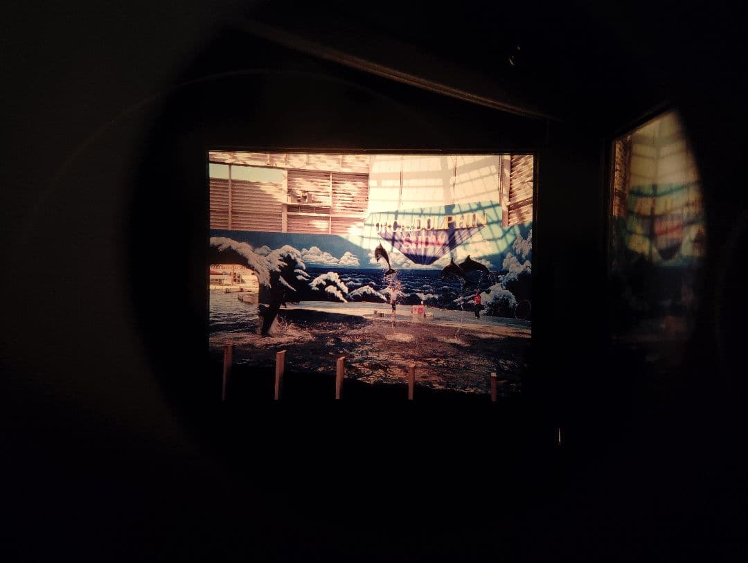 ワック　視力回復トレーニング