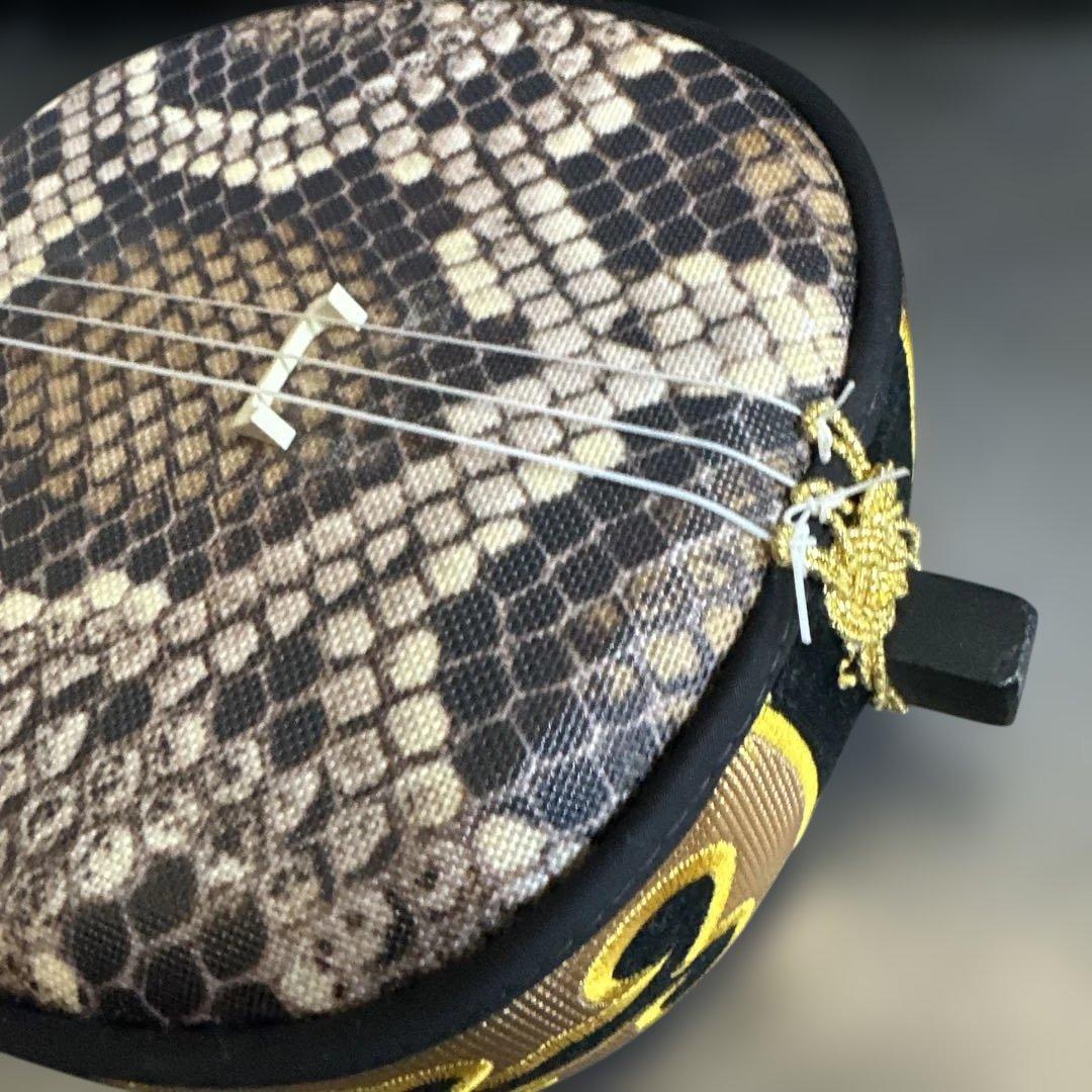 サマーセール❣️沖縄 三線 ケース付き 中古