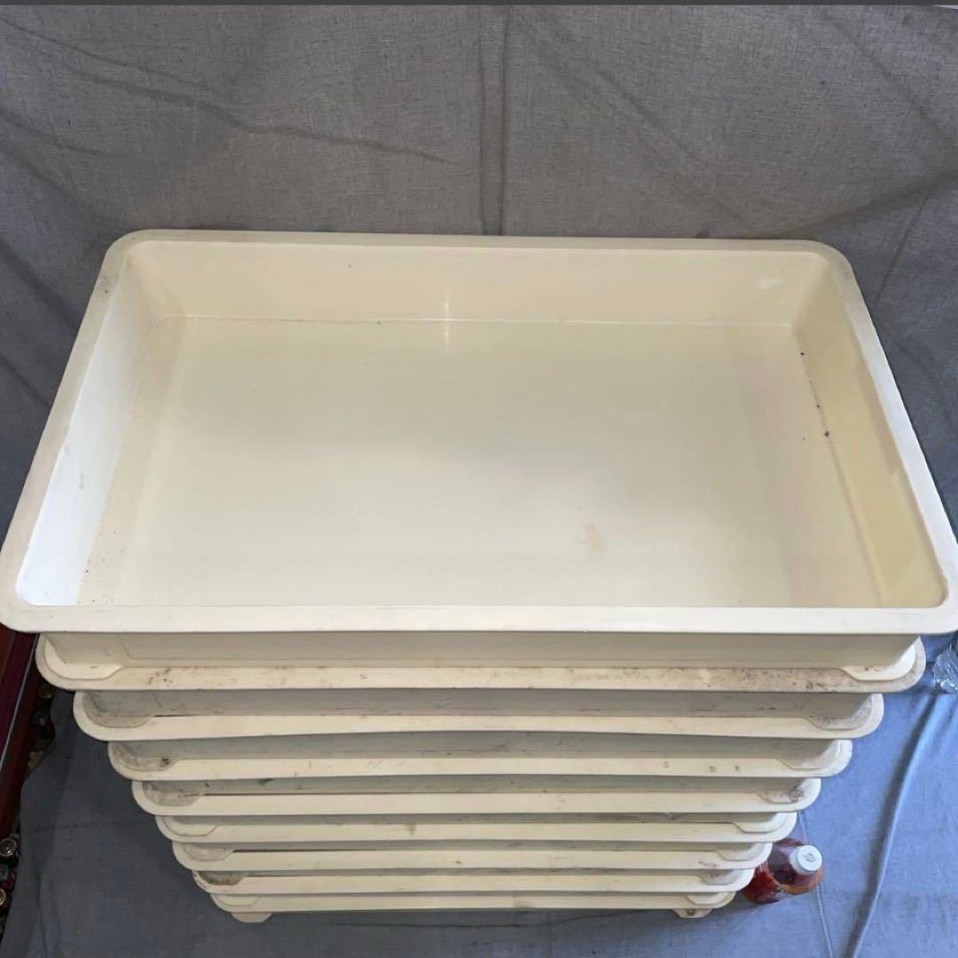 ブンタロウ、9個　業務用 厨房 フードテナー 番重 ばんじゅう　リスのプ