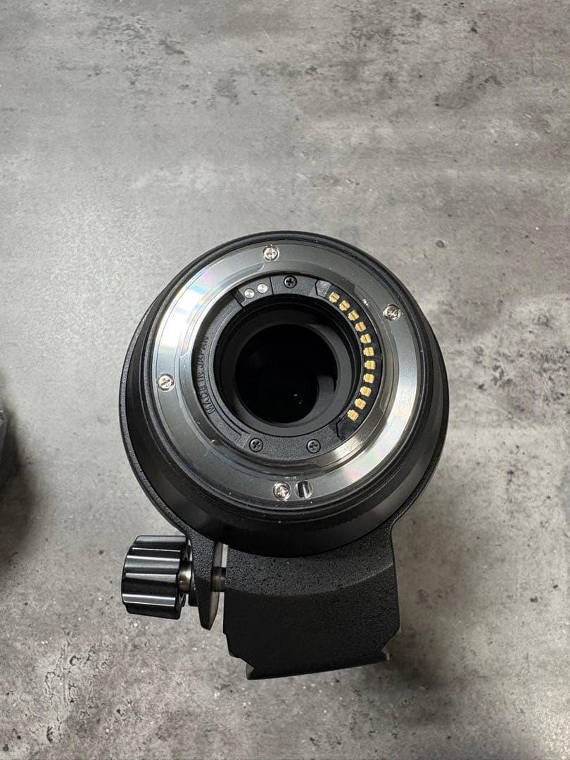 オリンパスM.ZUIKO100-400mm F5.0-6.3 IS ED MSC