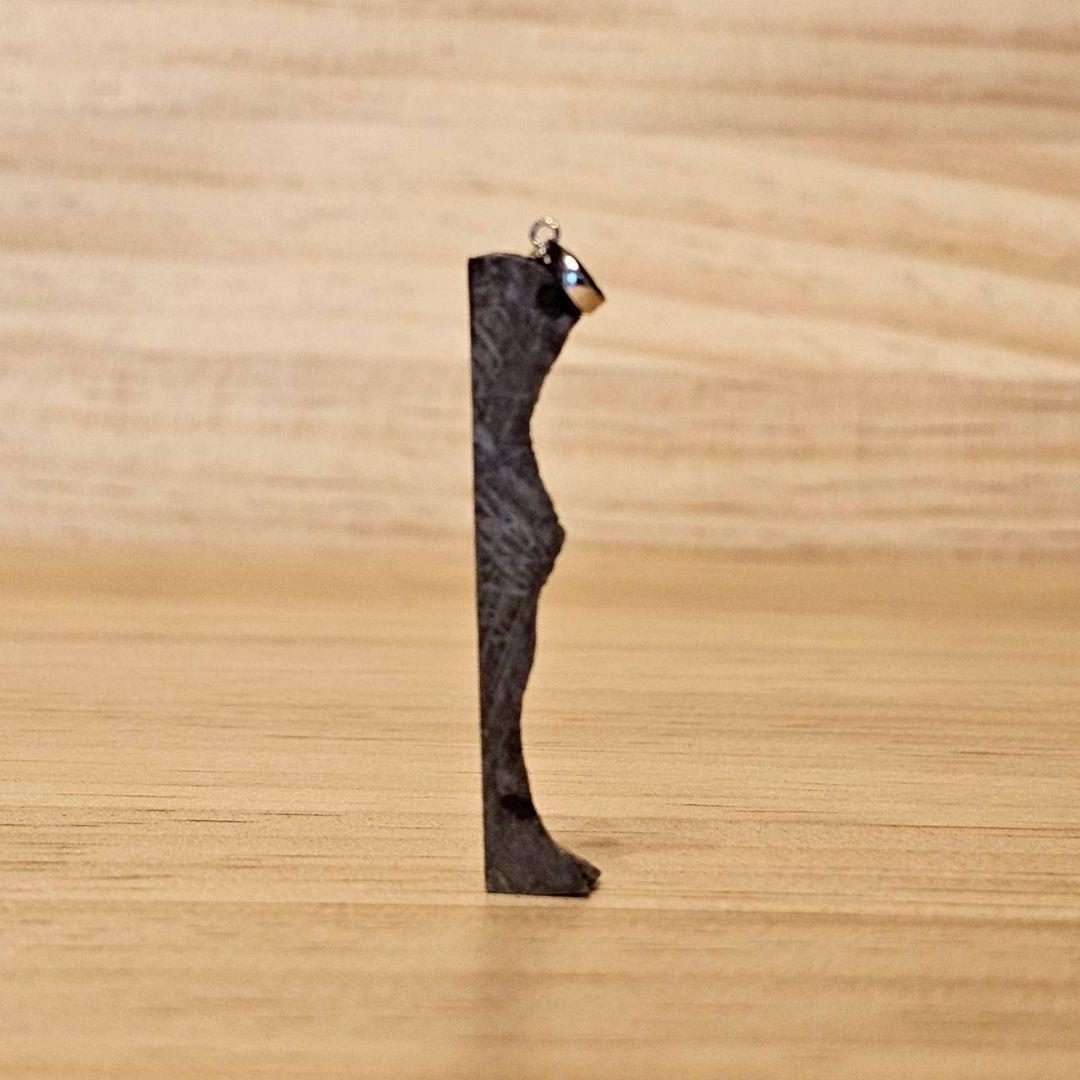 【アキムネ】ギベオン隕石 ペンダントトップのみ【鑑別書付】