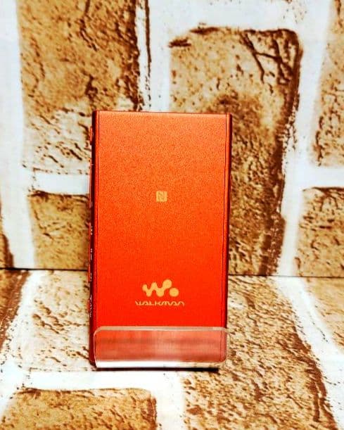 Sony NW-A45 トワイライトレッド
