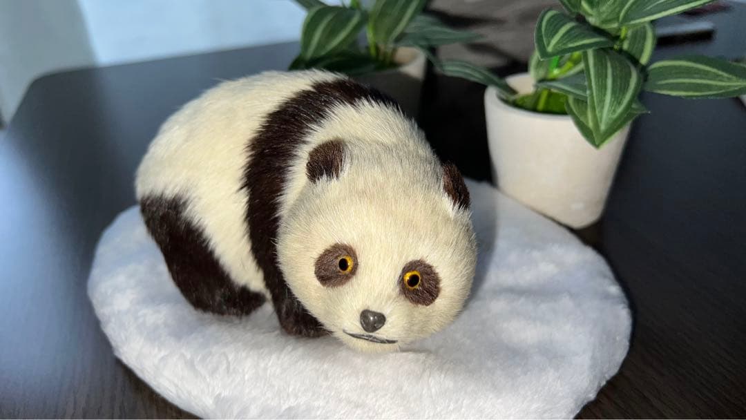 パンダ　本物の様！毛並みが可愛いです！オブジェ　置き物　インテリア