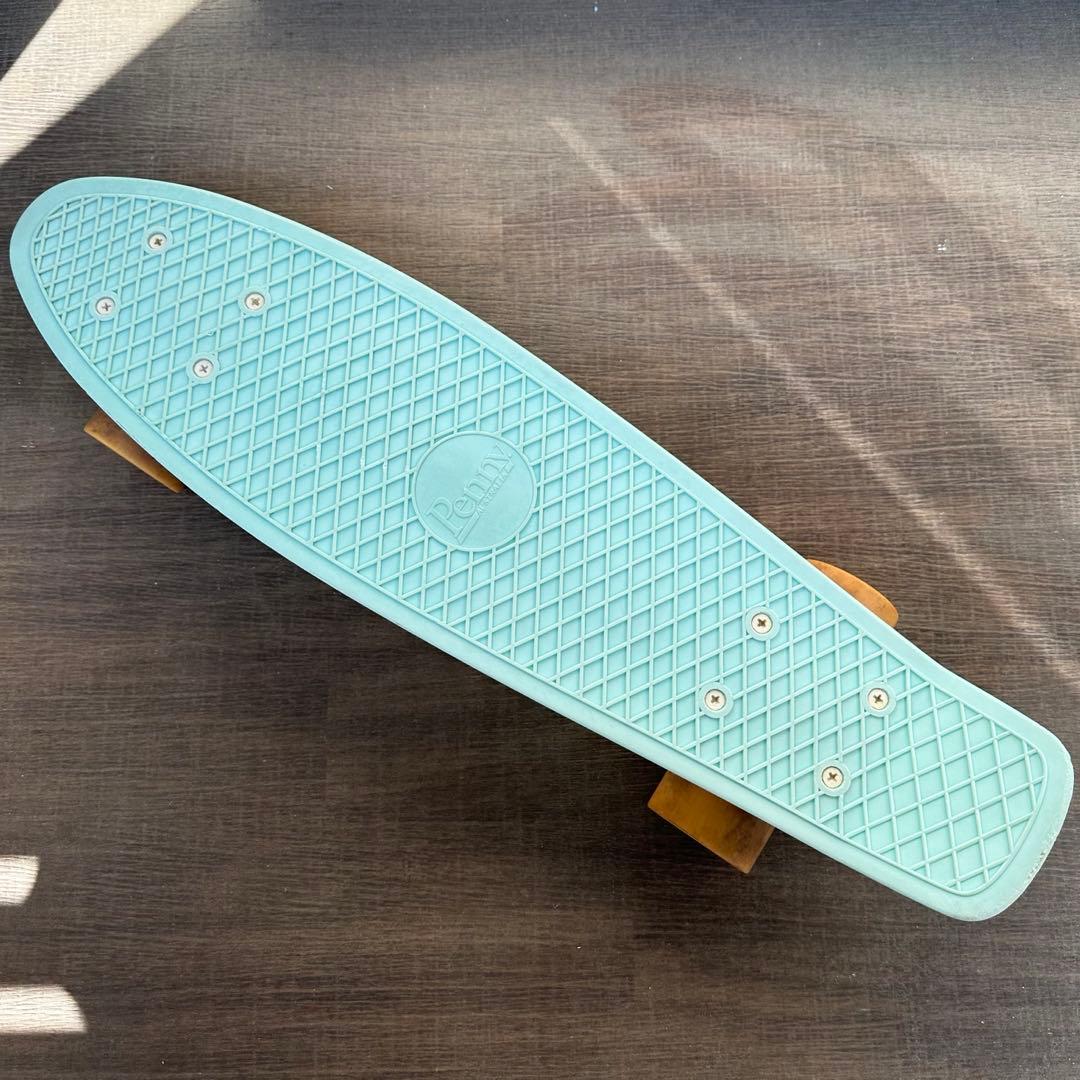 penny ペニー パステルシリーズ ミント 22inch