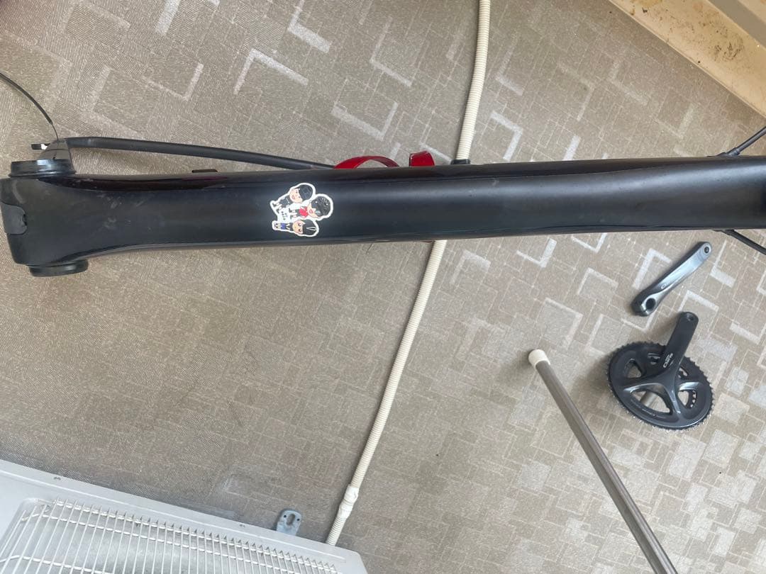 Alice TNI カーボンフレーム