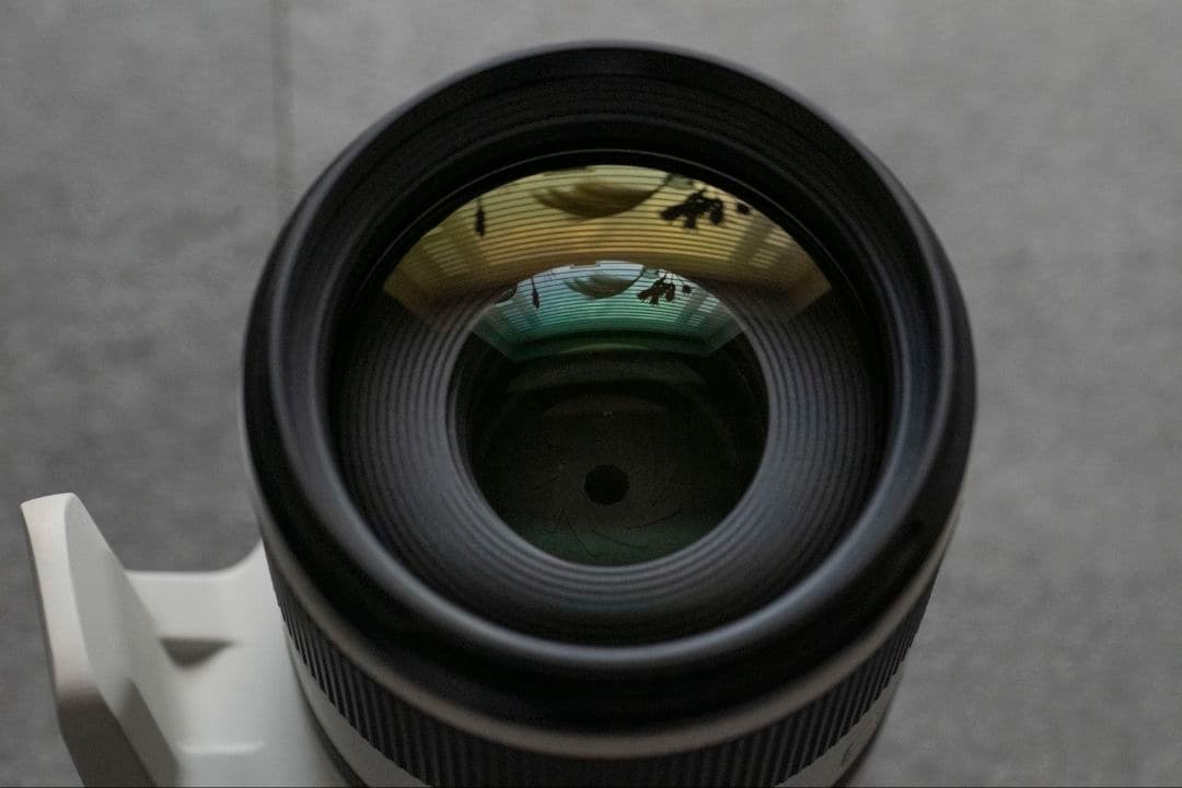 Canon RF 70-200mm F2.8 IS USM レンズ