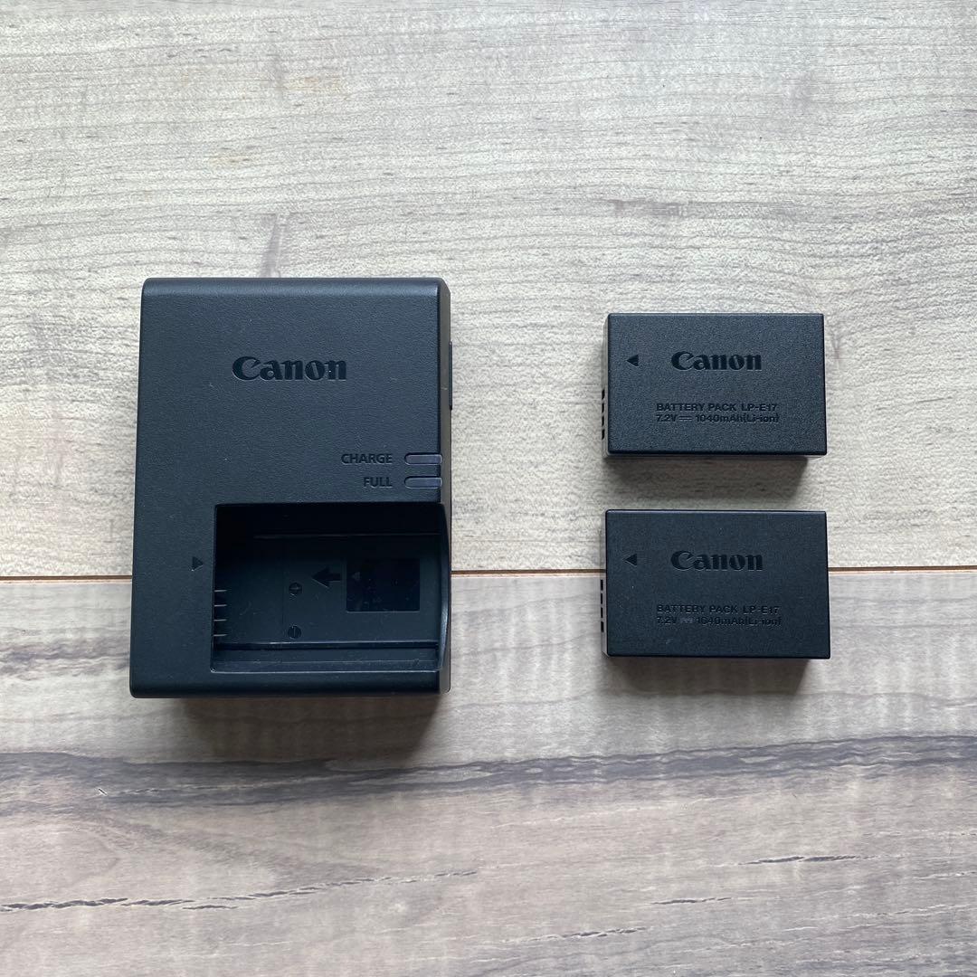 【美品】Canon EOS R10 [ボディ] RF-Sマウント