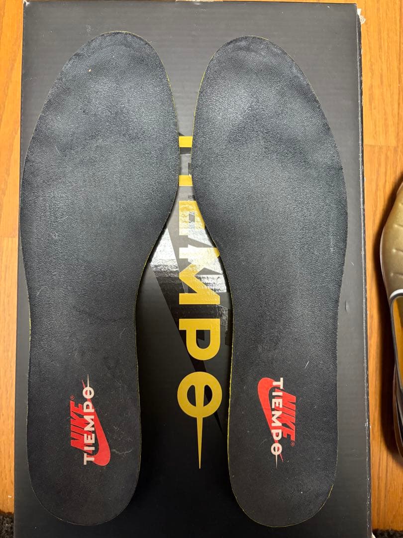 Nike ナイキ ティエンポ レジェンド10 エリート 27.0cm