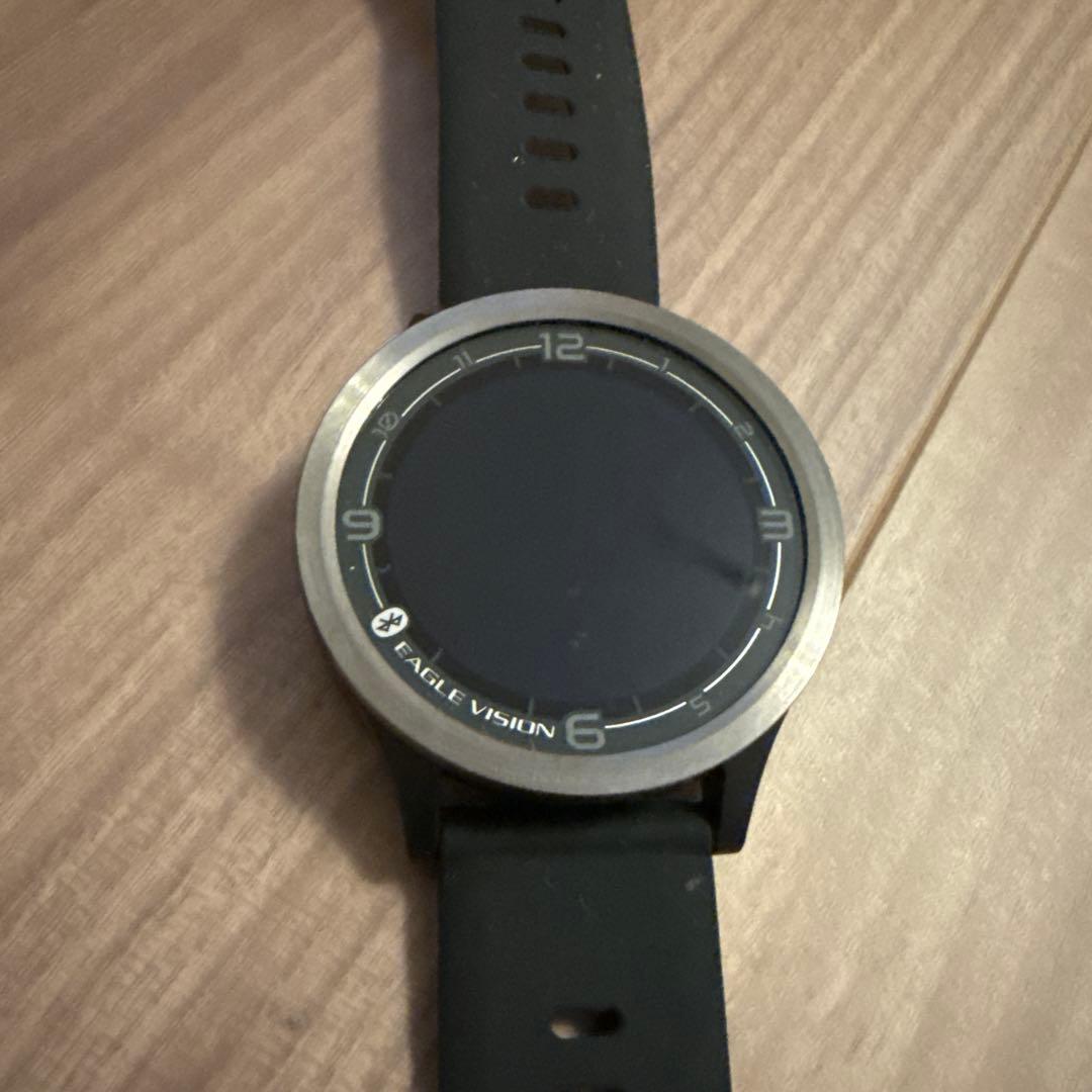 【値下げ】EAGLE VISION ACE PRO GPSナビ