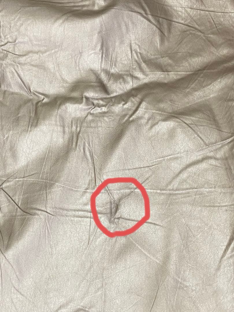 ピュアルネッサンスホルミシスマットST-240&カバー