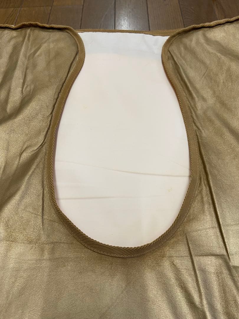 ピュアルネッサンスホルミシスマットST-240&カバー