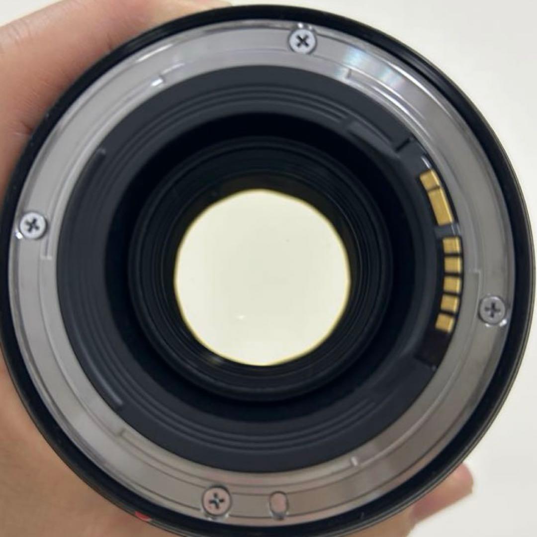 Canon EF 24-70mm f/2.8L Ⅱ USM