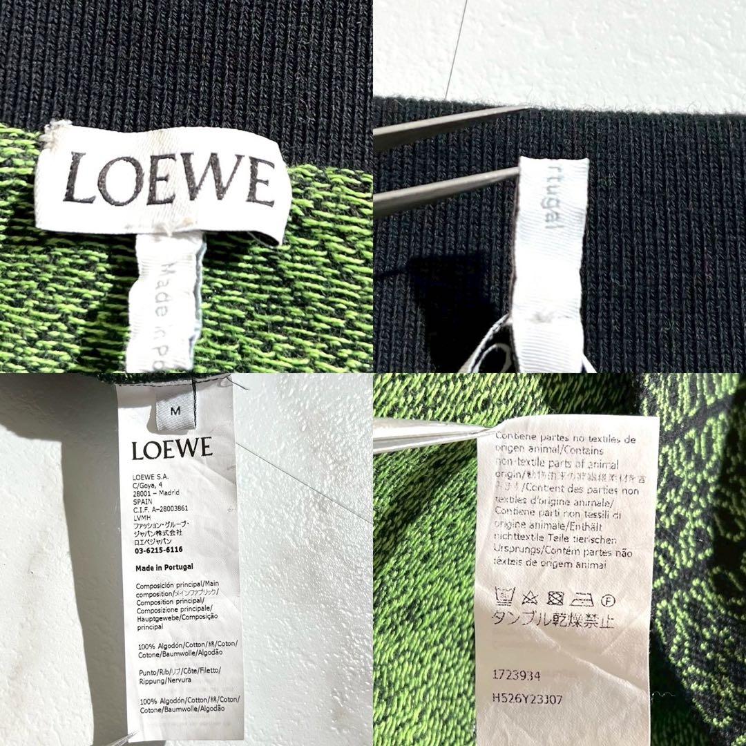 【極美品】ロエベ トレーナー リピートアナグラム グリーン