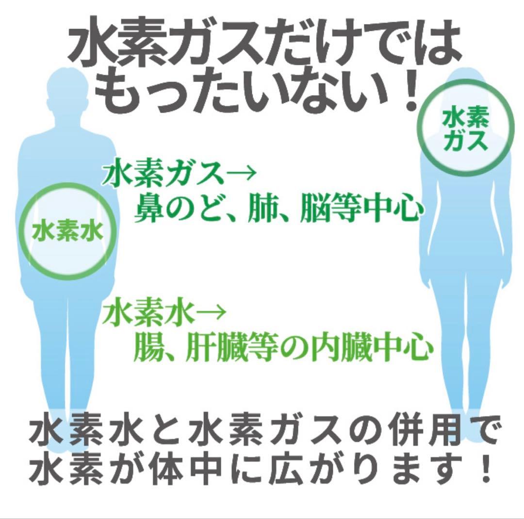 【美品】ダブル水素ボトル プレミアム