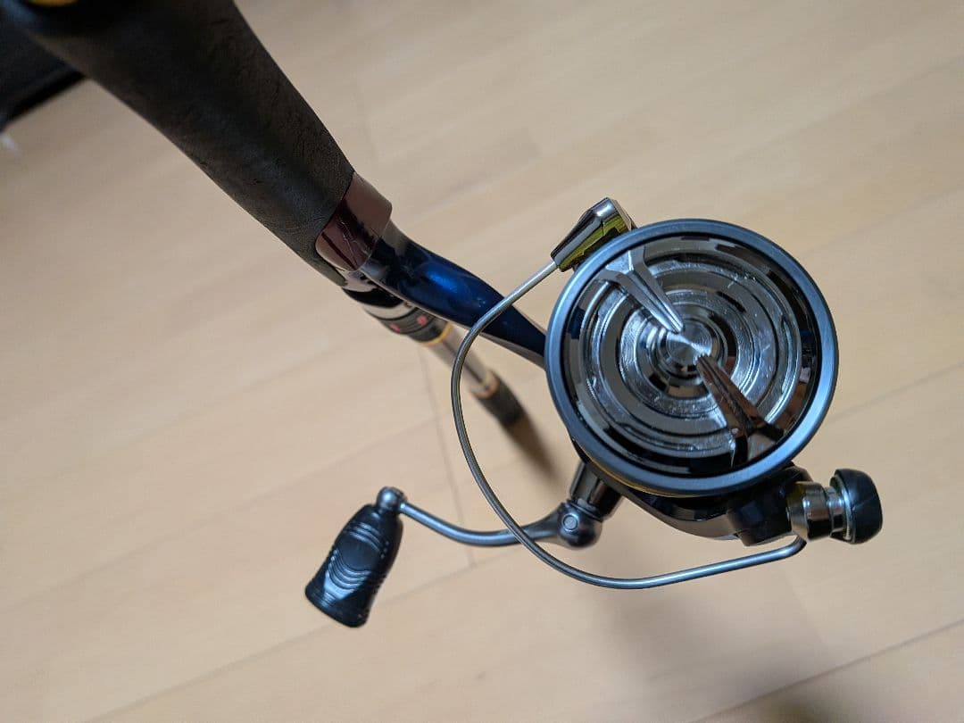 シーバス　ショアジギング　青物　ロッド　リール　ダイワ　本体　セット