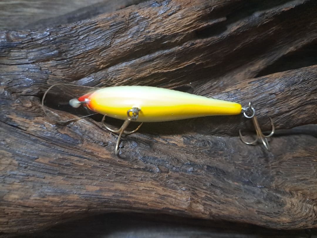 バルサ50　バスカラー　4個セット