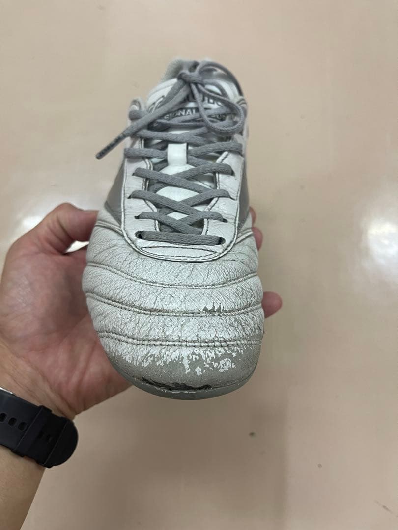 さかなさん専用