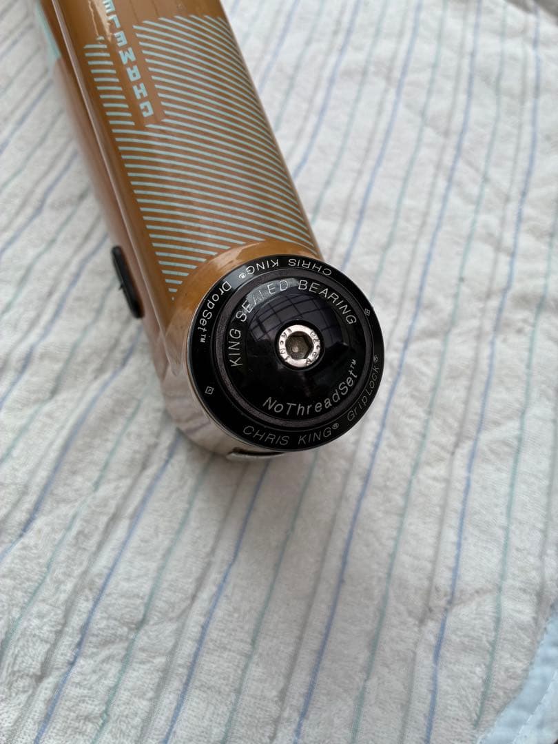 santacruz サンタクルズ chameleon カメレオン Mサイズ