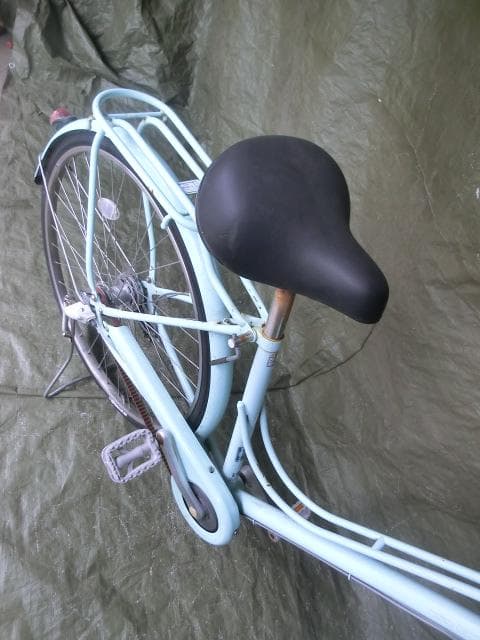 258：BRIDGESTONE Cajuna ジャンク 引取限定：埼玉県所沢市