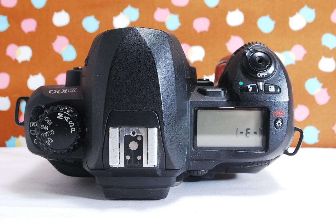 ✨届いてすぐ使える✨ハイアマチュア機✨Nikon D100 レンズセット