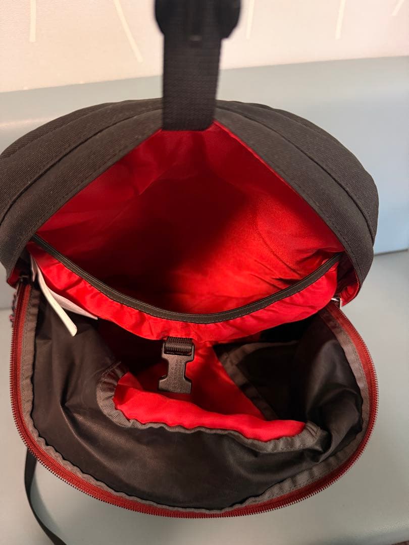 【極美品】パタゴニア アーバー・デイパックArbor Day Pack 20L