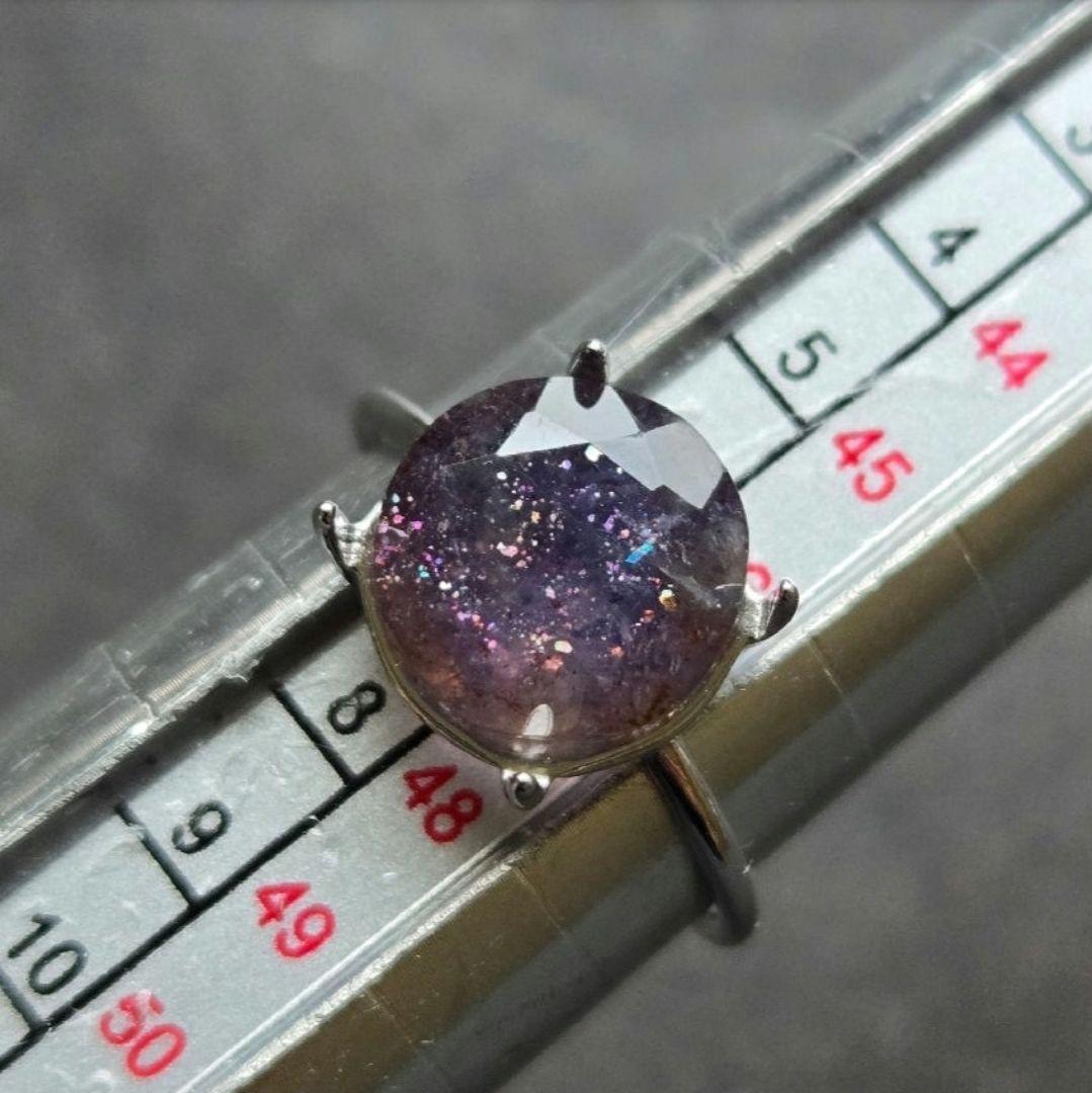 ミニピンLOVE✩.*˚