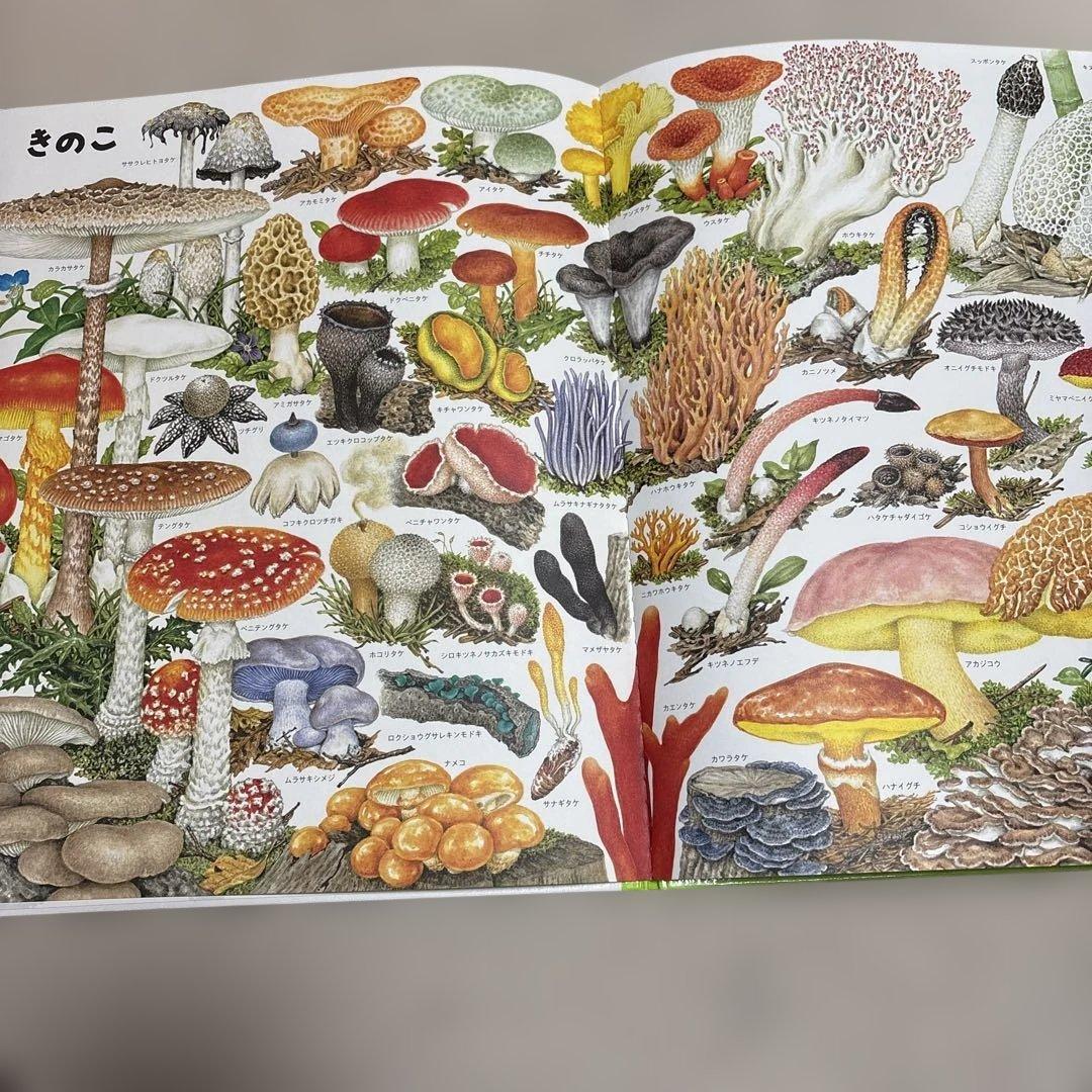 いきものづくし ものづくし 1〜12 付録付き