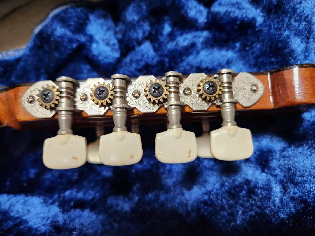 Raffaele 寺田楽器製 マンドリン RM-3