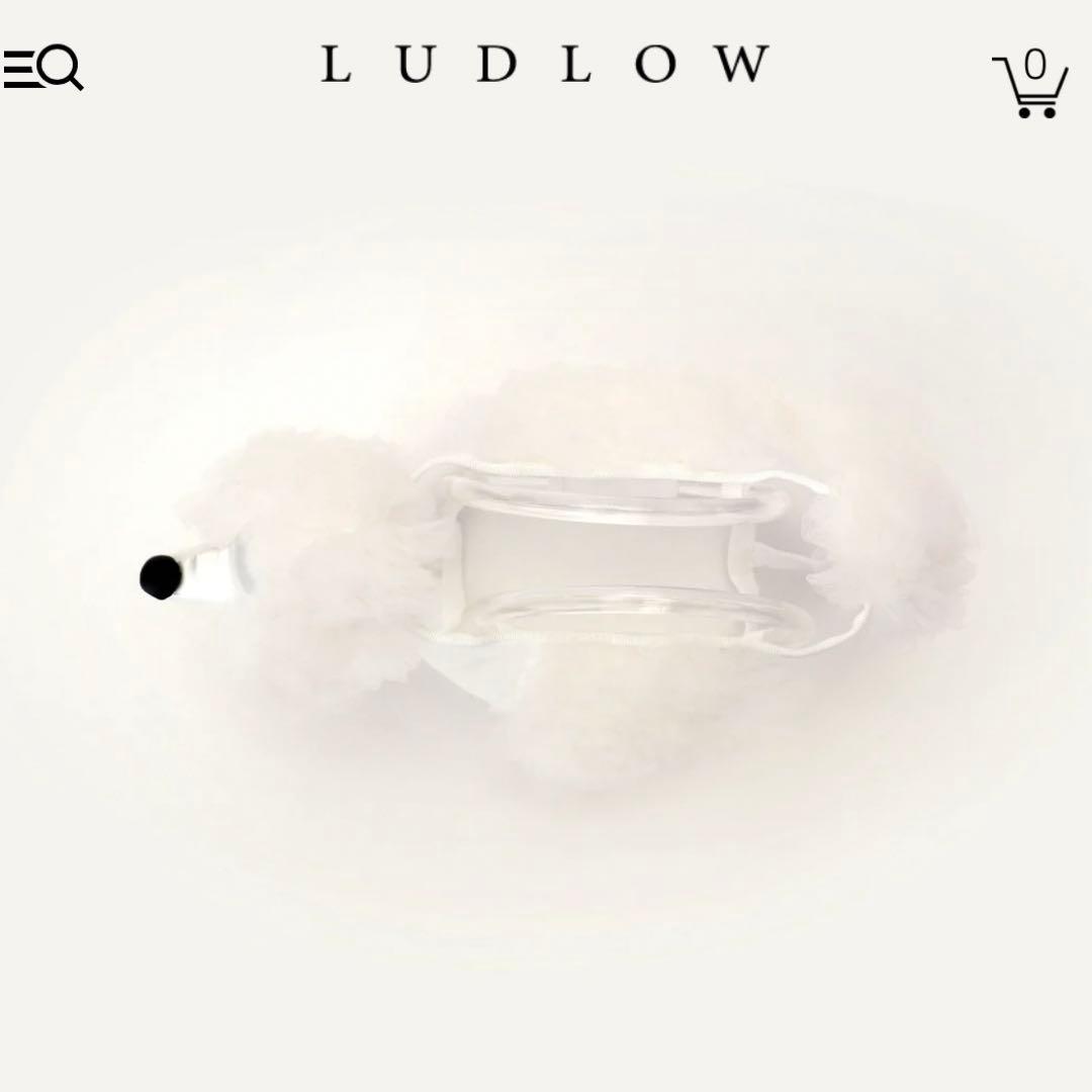 完売品】未使用 • 新品 LUDLOW プードル バッグ ホワイト - メルカリ