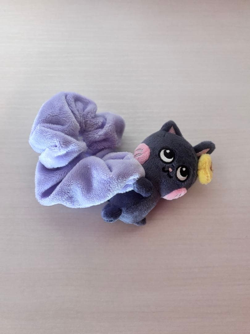 RIIZE ウォンビン トニャンドク シュシュ - メルカリ