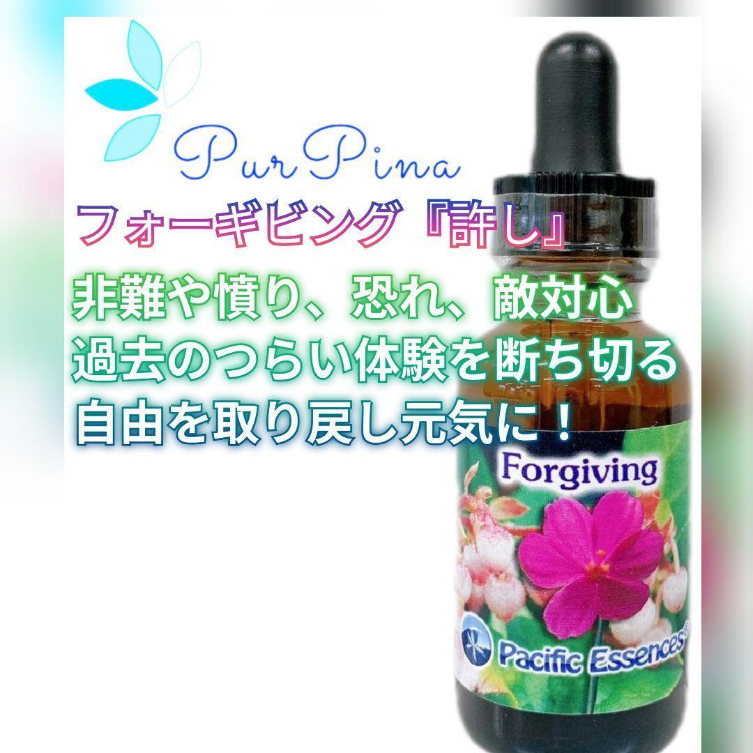 【専用】ベビーブルーアイズ(30ml) 　FES フラワーエッセンス　他