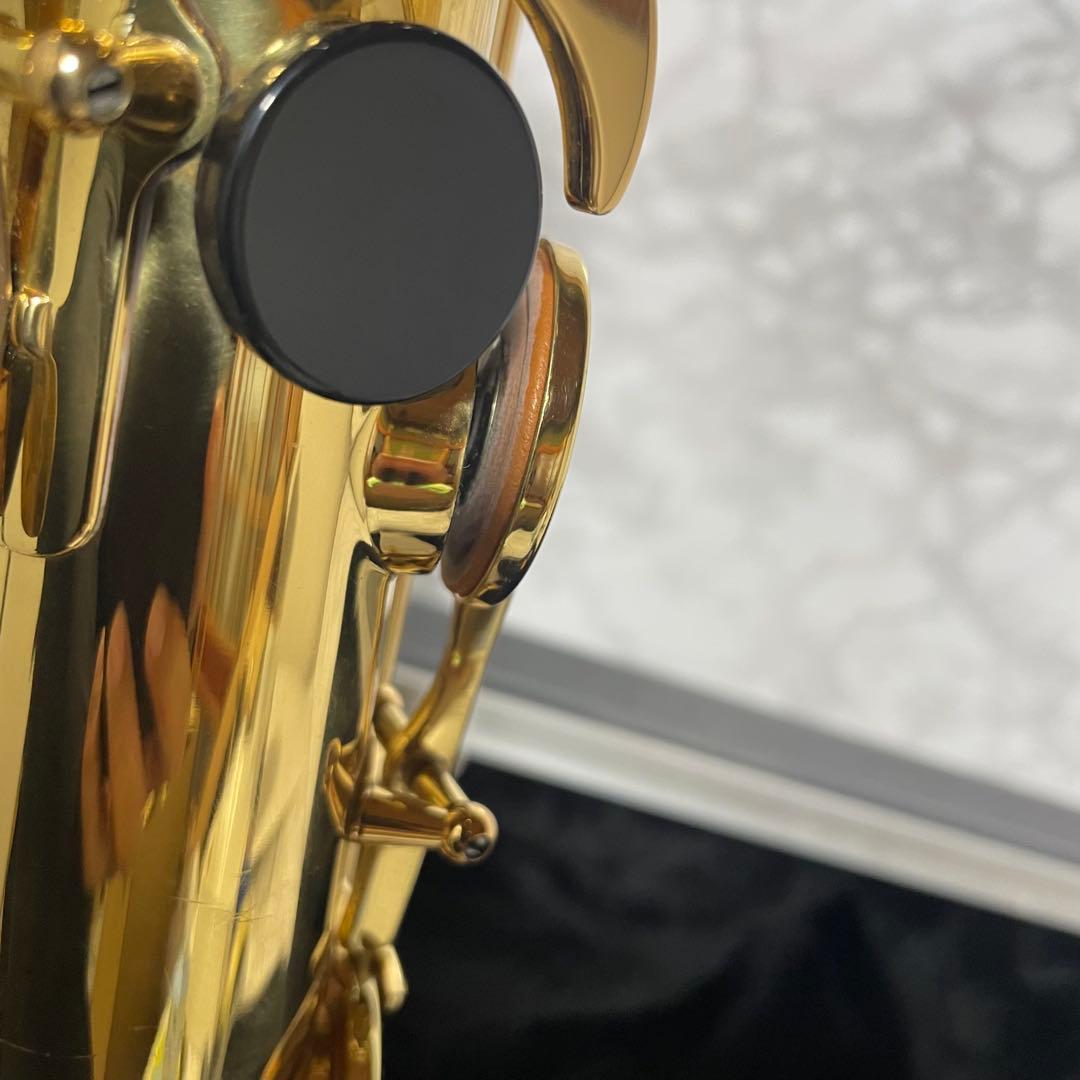 彦坂眞一郎氏 選定品　Antigua Winds テナーサックスgl