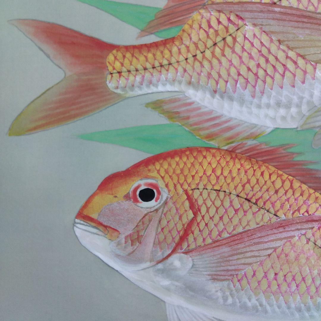掛け軸　鯛　杉浦満