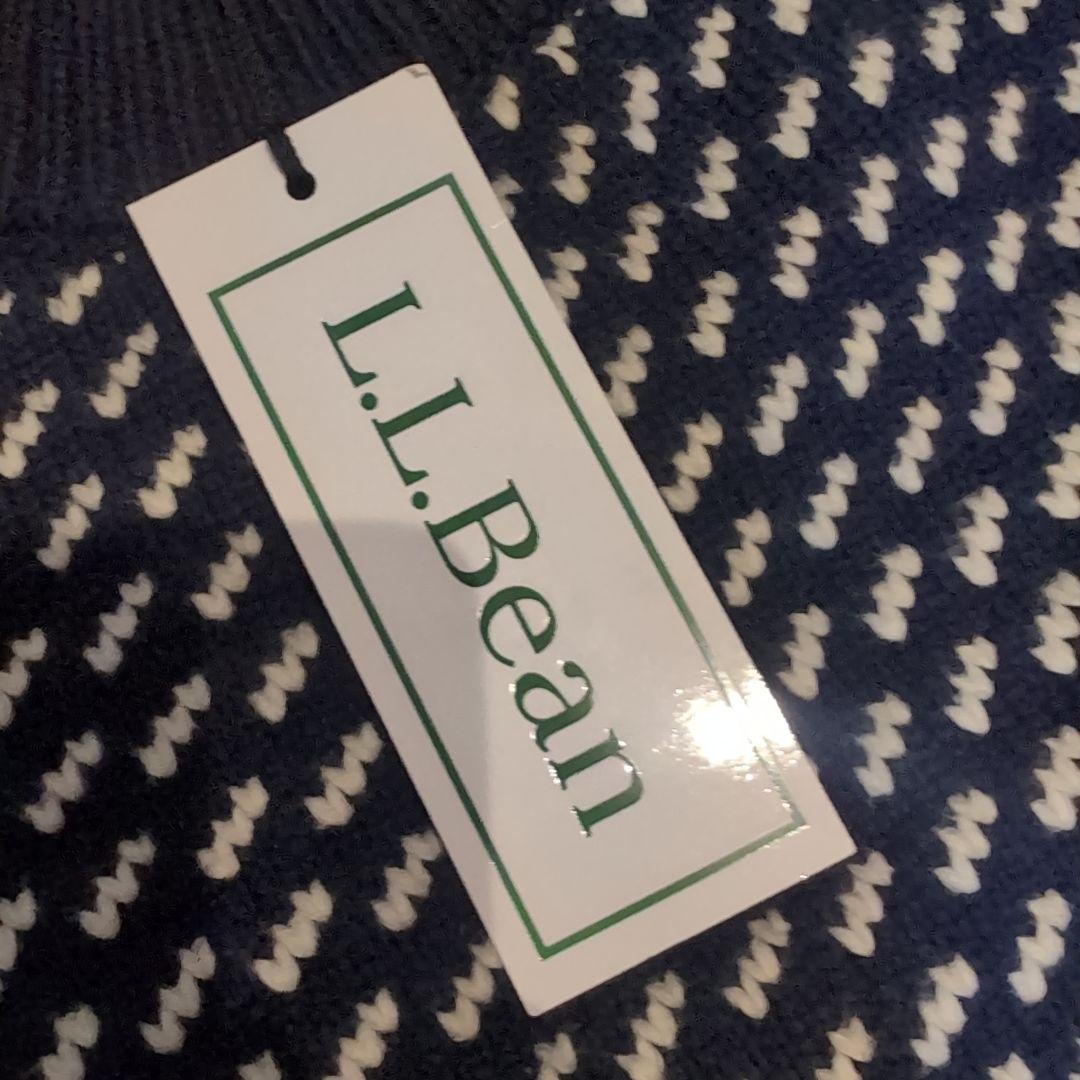 【完売】 L.L.Bean バーズアイ Japan Edittion