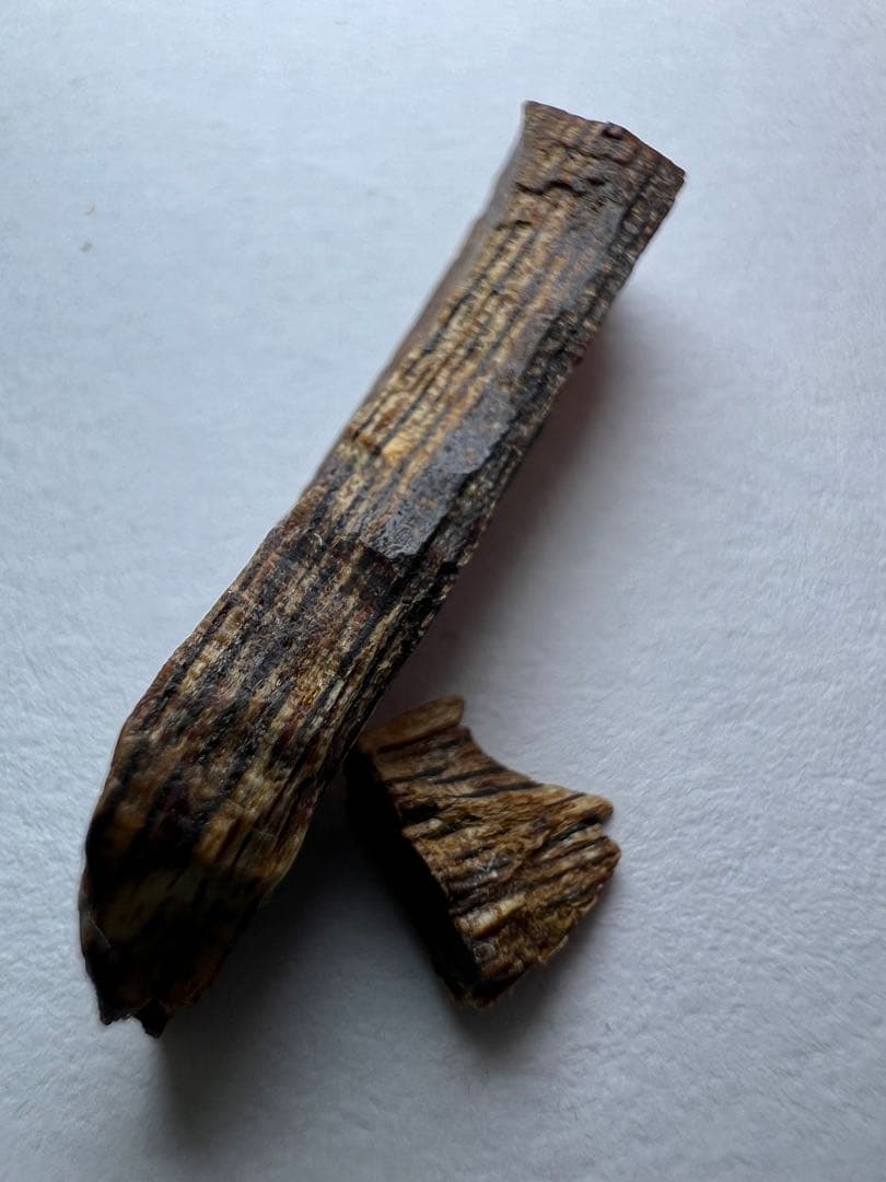 古渡命銘木 六十一種名香の内 真那賀銘 【賀】0.416g香木/お香/沈香/伽羅