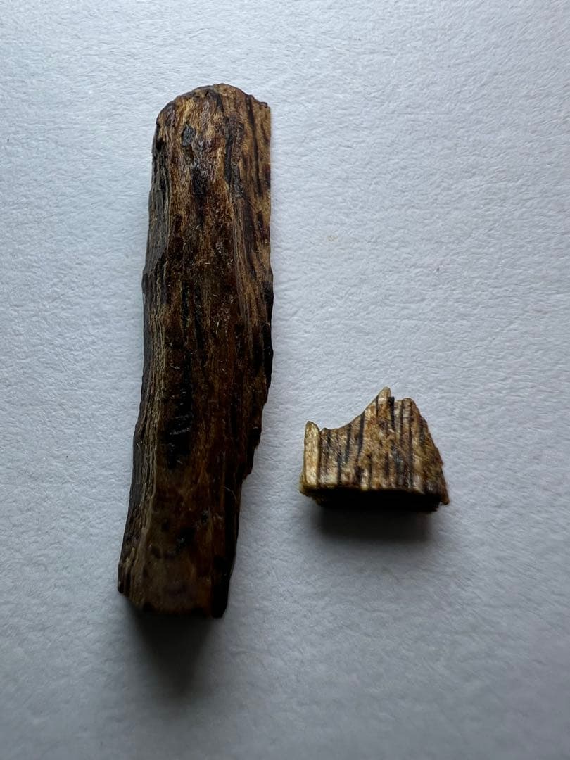 古渡命銘木 六十一種名香の内 真那賀銘 【賀】0.416g香木/お香/沈香/伽羅