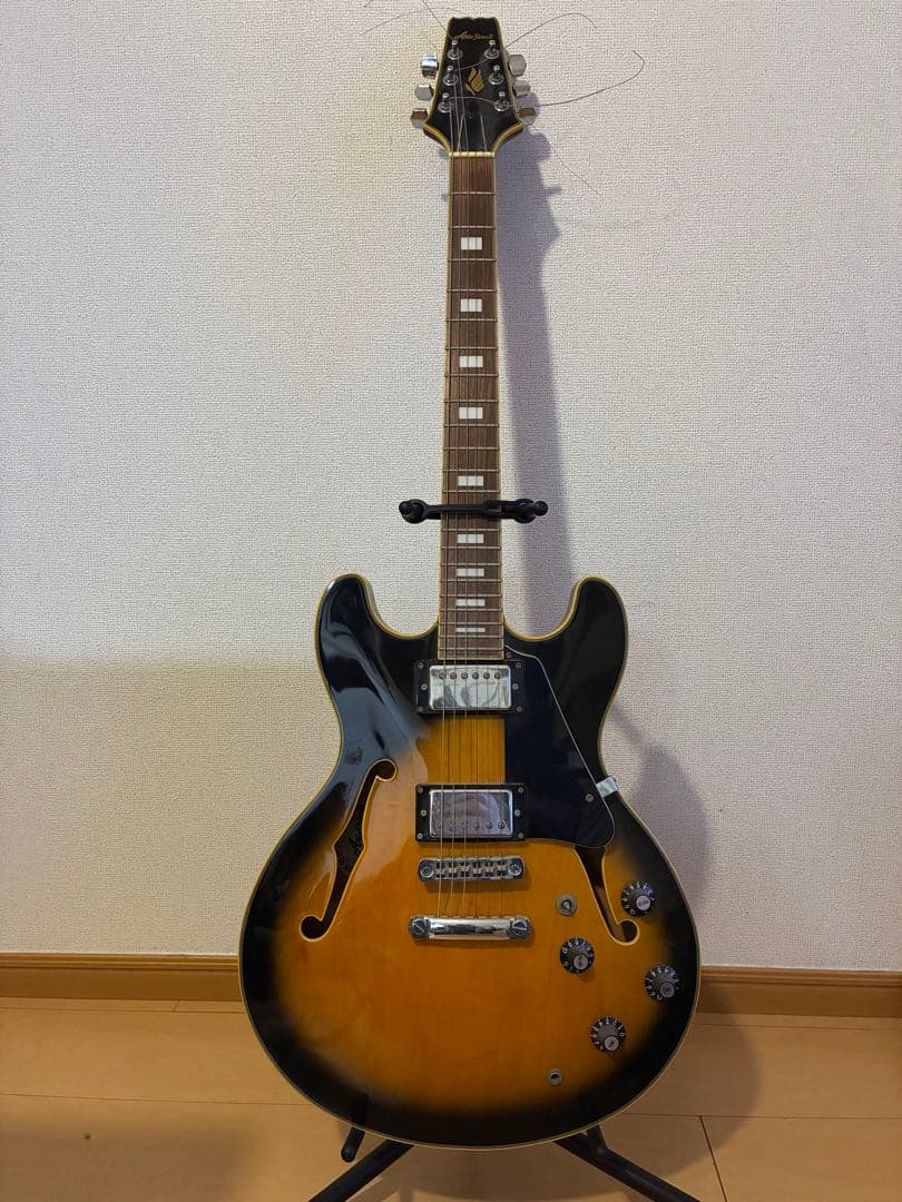 Aria Pro II TA-62C ソフトケース付き