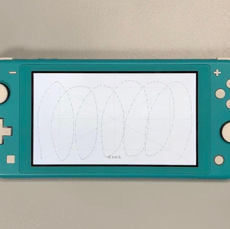 Nintendo Switch Lite 本体 動作品