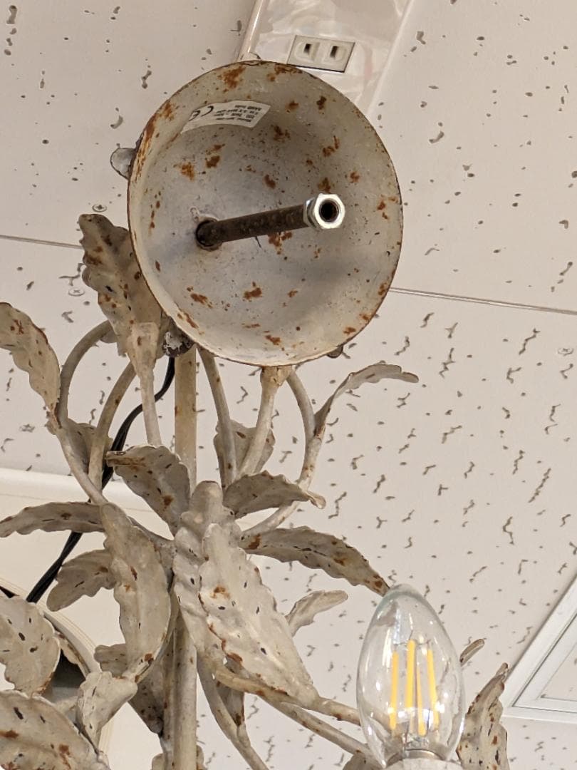 大特価【希少】サラグレース アンティーク シャンデリア 6灯 植物 花 照明