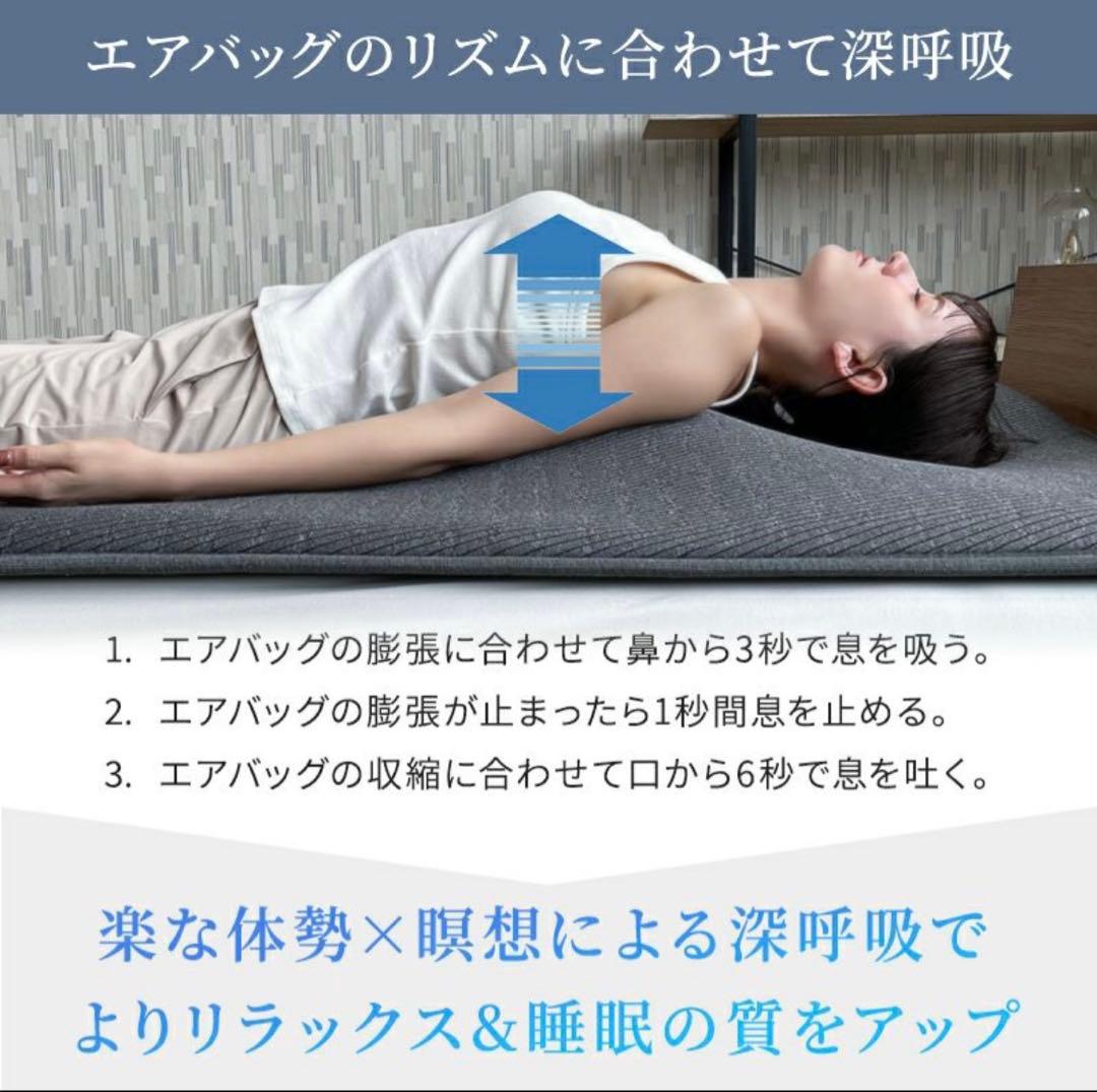 Airtech Sleeper エアテックスリーパー　BlueBlood　新品