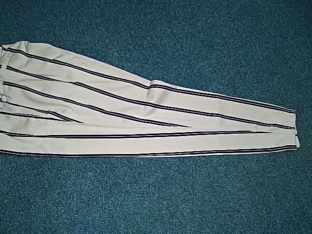 MIZUNOPRO 新品 ミズノプロ ロングパンツ Ｌサイズ プロコレクション
